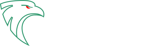 Интеллектуальная система технического зрения «Метастражник»