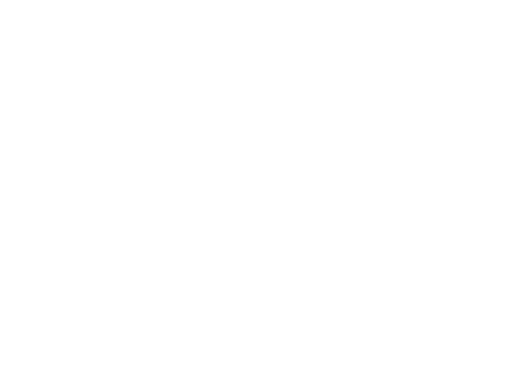 Модель компьютерного зрения «Сокол-Л»