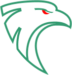 Интеллектуальная система технического зрения «Метастражник»