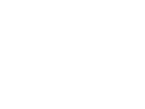 Модель компьютерного зрения «Сокол-Л»